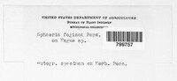Image Associated With the Occurence